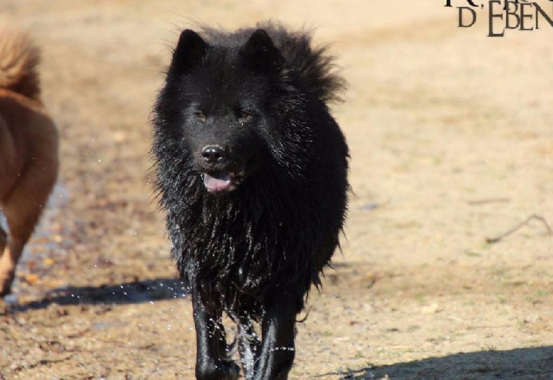 Daodejing Hana no himeko fudori (himeko)